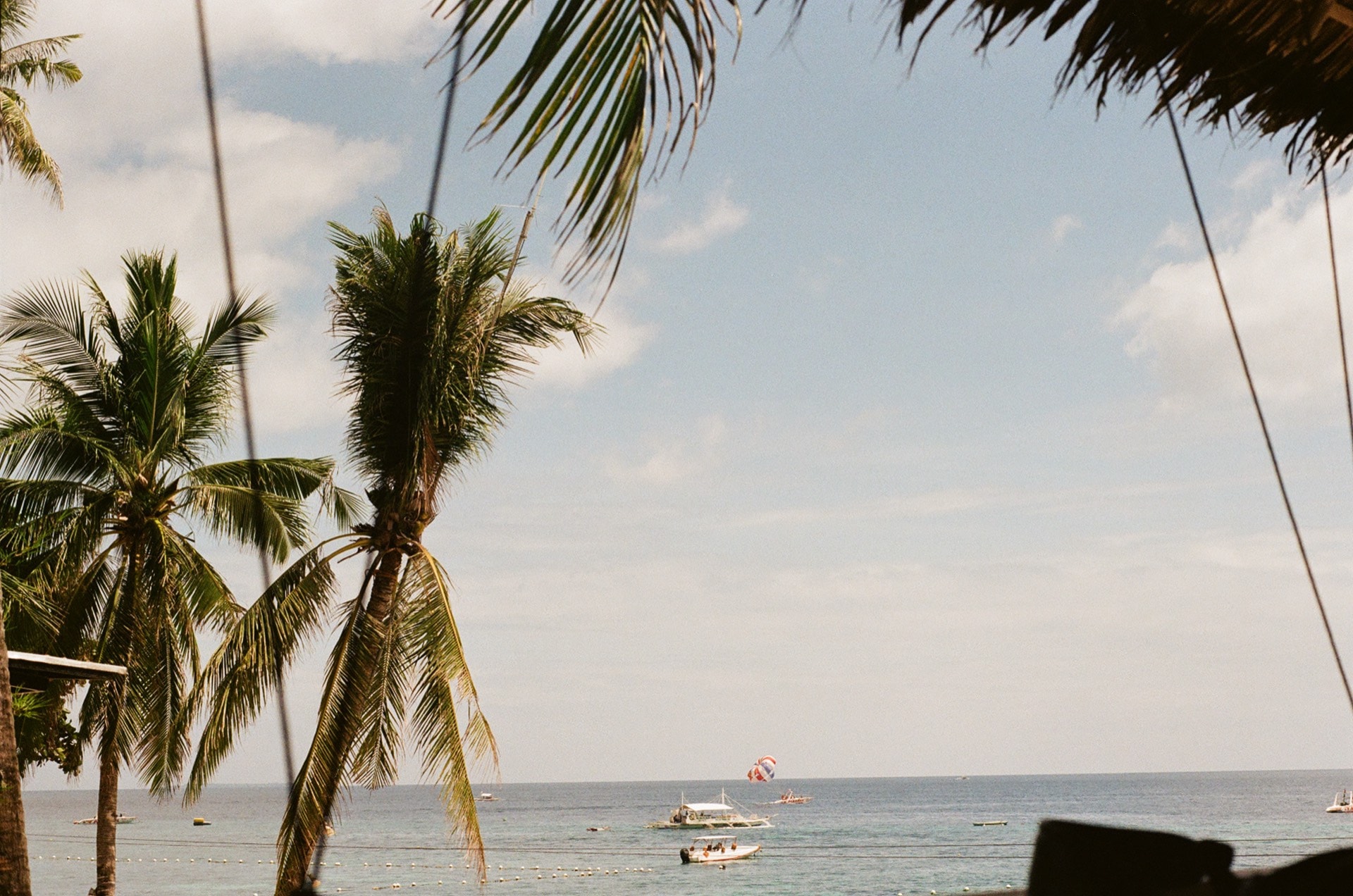 Tropical beach with palm trees